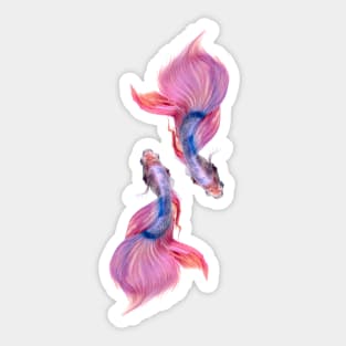 Lucky Fishes Sticker